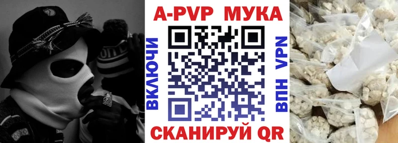 OMG как войти  Карпинск  А ПВП крисы CK 