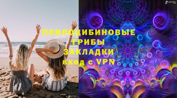 стаф Апатиты