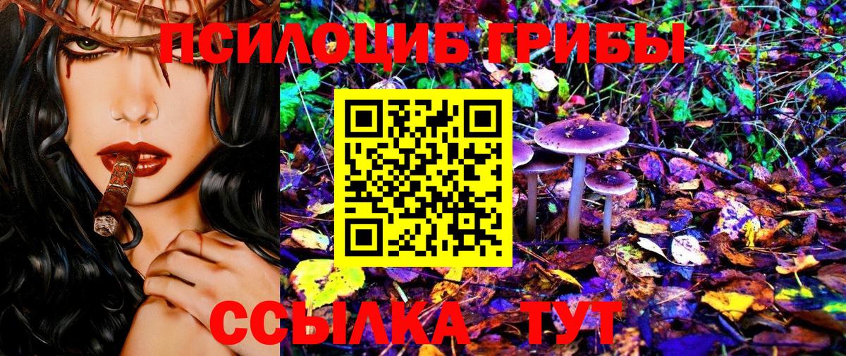 Галлюциногенные грибы прущие грибы Карпинск