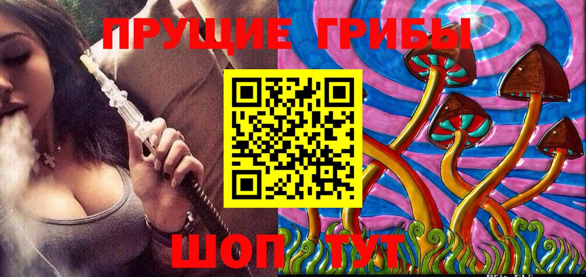 даркнет сайт  Карпинск  Псилоцибиновые грибы мицелий 